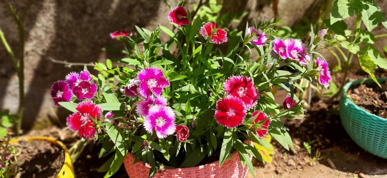 Trimurti Holiday Home Panchgani Exterior foto